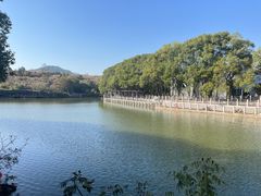 -白马涧龙池景区