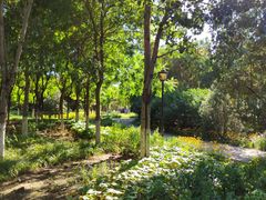 -永定河休闲森林公园