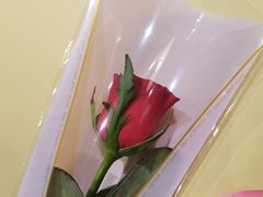 -祥源胡同·涮牛羊肉火锅(花桥店)