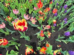 -长春公园(普阳街道)