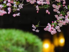 -留园