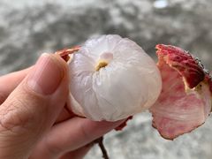 -得福农庄