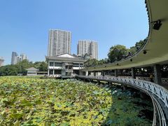 -荔湾湖公园