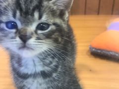 -龟与熊猫宠物公园(南坪店)