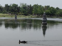 -武汉园博园(武汉自然博物馆)
