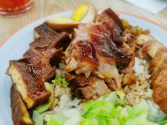 -瑞霖·隆江猪脚饭