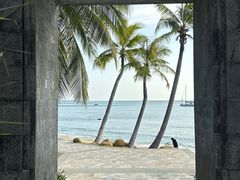 -日落吧·海景咖啡厅·餐酒吧·鸡尾酒·下午茶·乐队表演·浪漫夕阳·三亚文华东方酒店