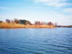 -长兴太湖图影湿地文化园