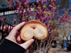-中关村茶点