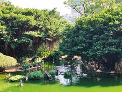 -九龙公园