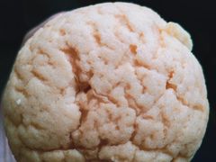 -南通大学-食堂