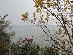 -东湖生态旅游风景区