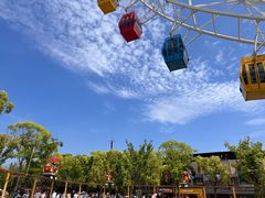 -老板恋上鱼(高新万达店)