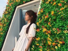 -Blue Concept Cafe&Farm·關於藍