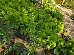 -味餐厅·海鲜·火锅·自助餐