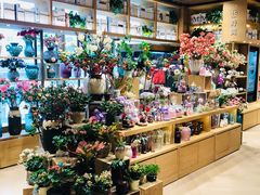 -G·SPACE(金鹰世界店)