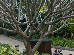 -厦门日月谷温泉渡假村