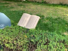 -延安杨家岭革命旧址