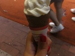 -富豪雪糕车流动点(尖沙咀店)