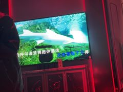 -Z+KTV自由港PLUS(仲盛店)