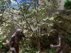 -北京周口店北京人遗址博物馆