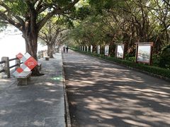-大湾区中央湿地公园