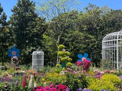 -上海共青森林公园