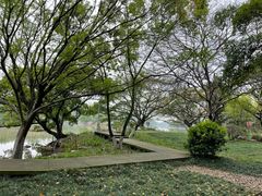 -江心屿景区