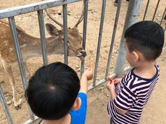 -西安秦岭野生动物园