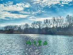 -溱湖国家湿地公园