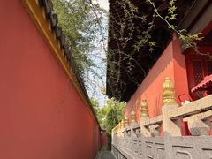 -苏州文庙(姑苏区)