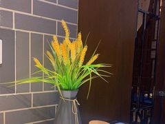 -老三骨头馆(白桦东路店)