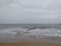 -日照灯塔风景区