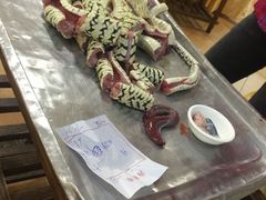 4081-荔城生鲜盛宴(番禺旗舰店)