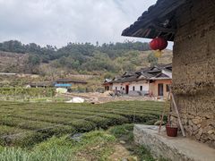 -福建土楼（华安）旅游区•大地土楼群