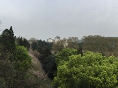-武汉大学-樱园