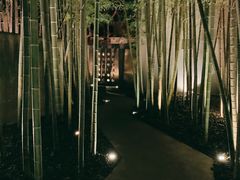 门前竹林-穹六人间 people 6(岳阳路店)