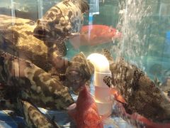 -金苑海鲜酒家(来魅力店)