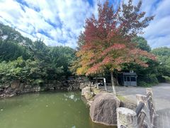 -白马涧龙池景区