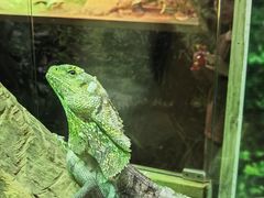 -广州长隆飞鸟乐园