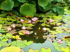 -国家植物园南园