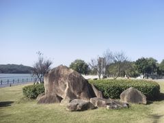 -上海月湖雕塑公园