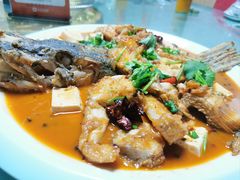 -煲来饱去冷水鱼