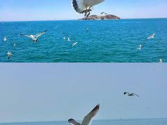 -海驴岛(荣成市)