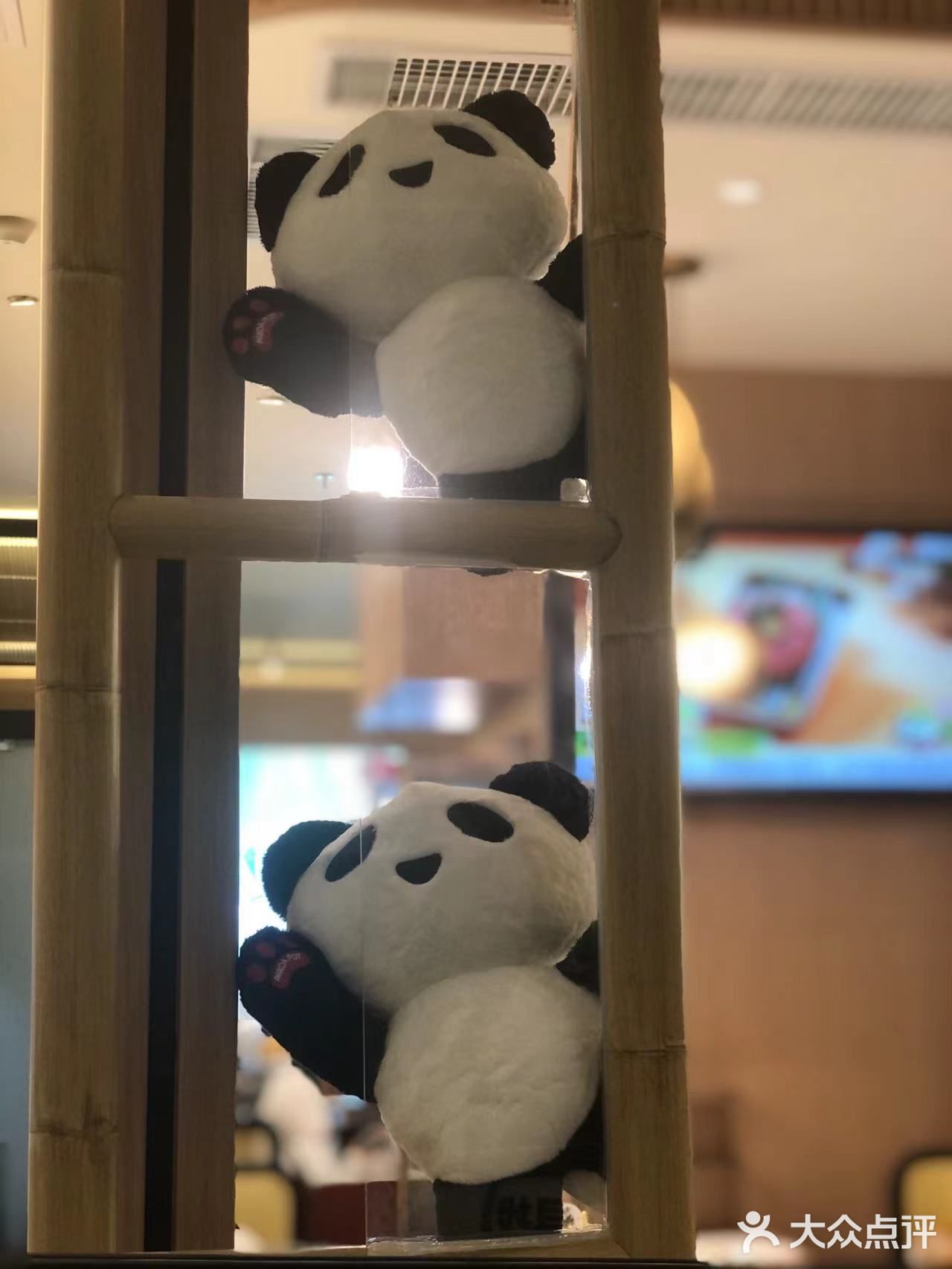 🐼🐼🐼熊猫烫🔥喊你过来吃火锅啦