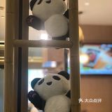 🐼🐼🐼熊猫烫🔥喊你过来吃火锅啦