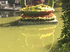 -汇龙潭