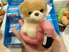 -猫的天空之城概念书店(大学路店)
