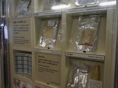 -日本科学未来馆