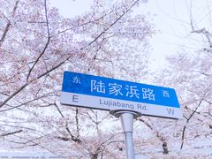 -上海南浦大桥长途旅游客运站